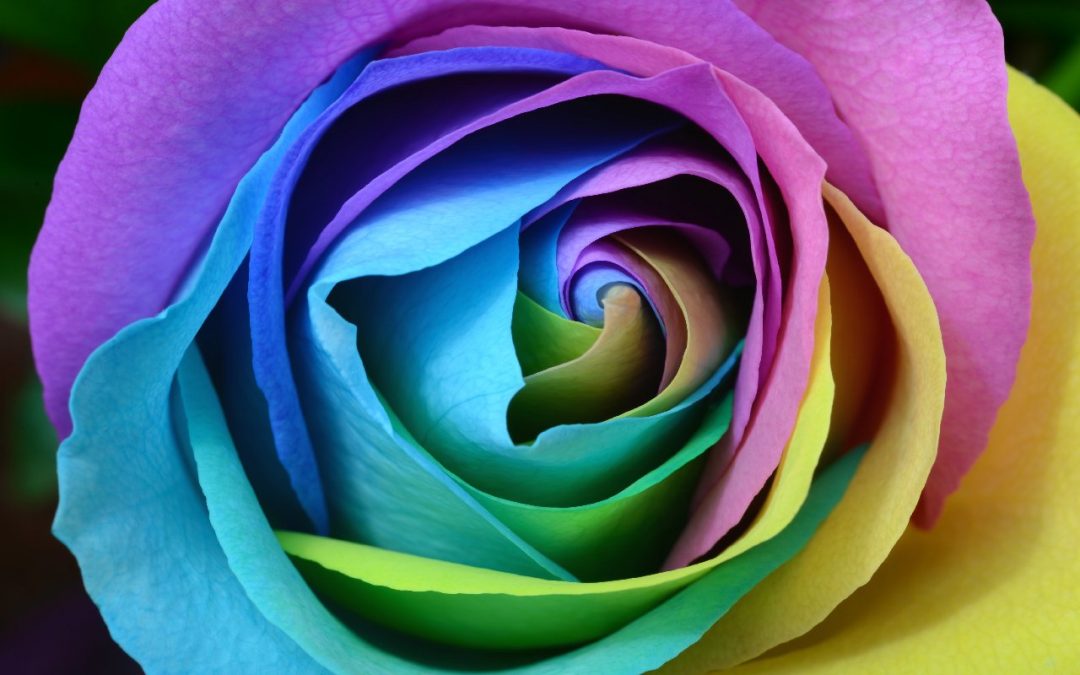 Contes de toutes les couleurs au City