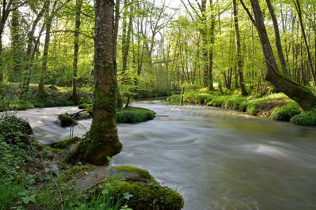 contes de Nature à Merlevenez