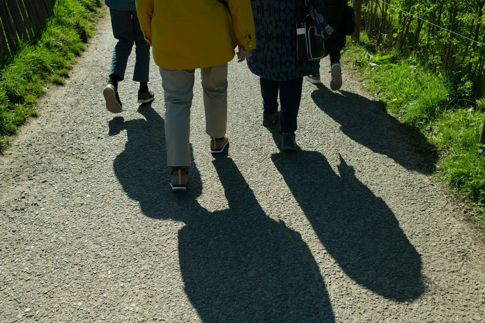 age-cymru-DK4DIcq3Rio-unsplash.webp